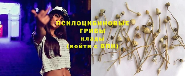 гидропоника Бугульма