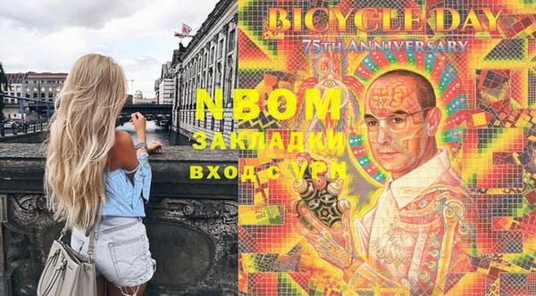 прущий лед Бородино