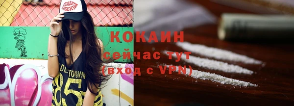 прущий лед Бородино