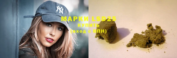 прущий лед Бородино