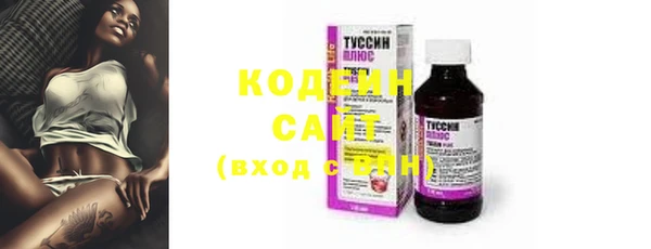 прущий лед Бородино
