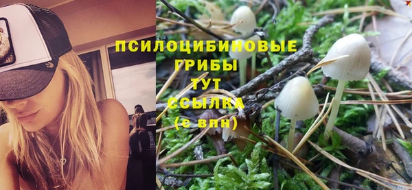 прущий лед Бронницы