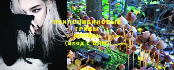 прущий лед Бронницы