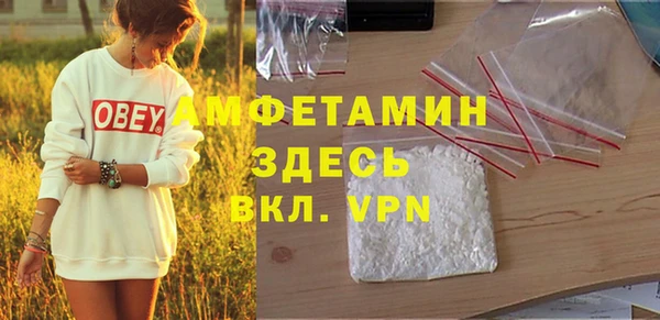 прущий лед Бородино