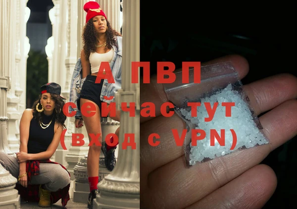 прущий лед Бородино