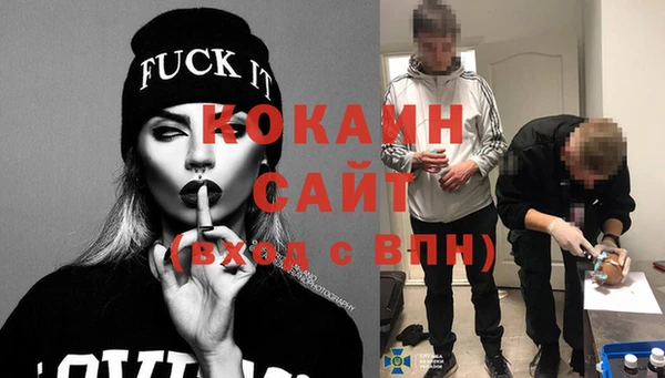 прущий лед Бородино
