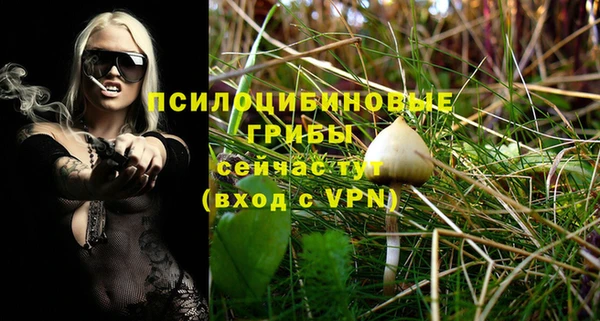 гидропоника Бугульма
