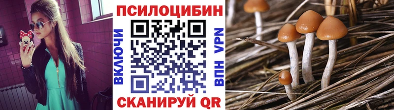Галлюциногенные грибы ЛСД Купино