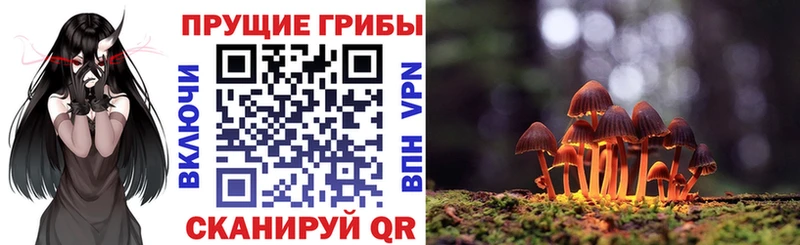 Псилоцибиновые грибы Psilocybe  Купино 